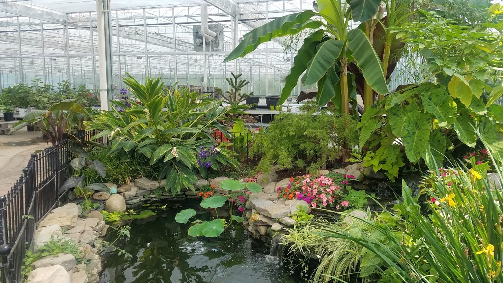 Lavocats Family Greenhouse and Nursery | 8441 County Rd, East Amherst, NY 14051, USA | Phone: (716) 741-3976