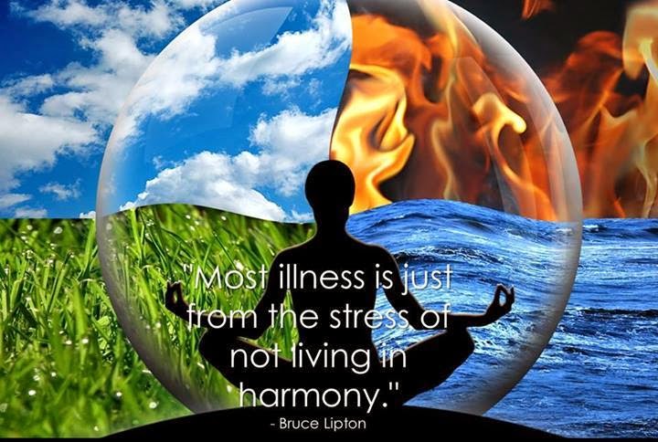 Heaven & Earth Holistic Therapies | 2651 Biddle Ave, Wyandotte, MI 48192, USA | Phone: (734) 755-6674