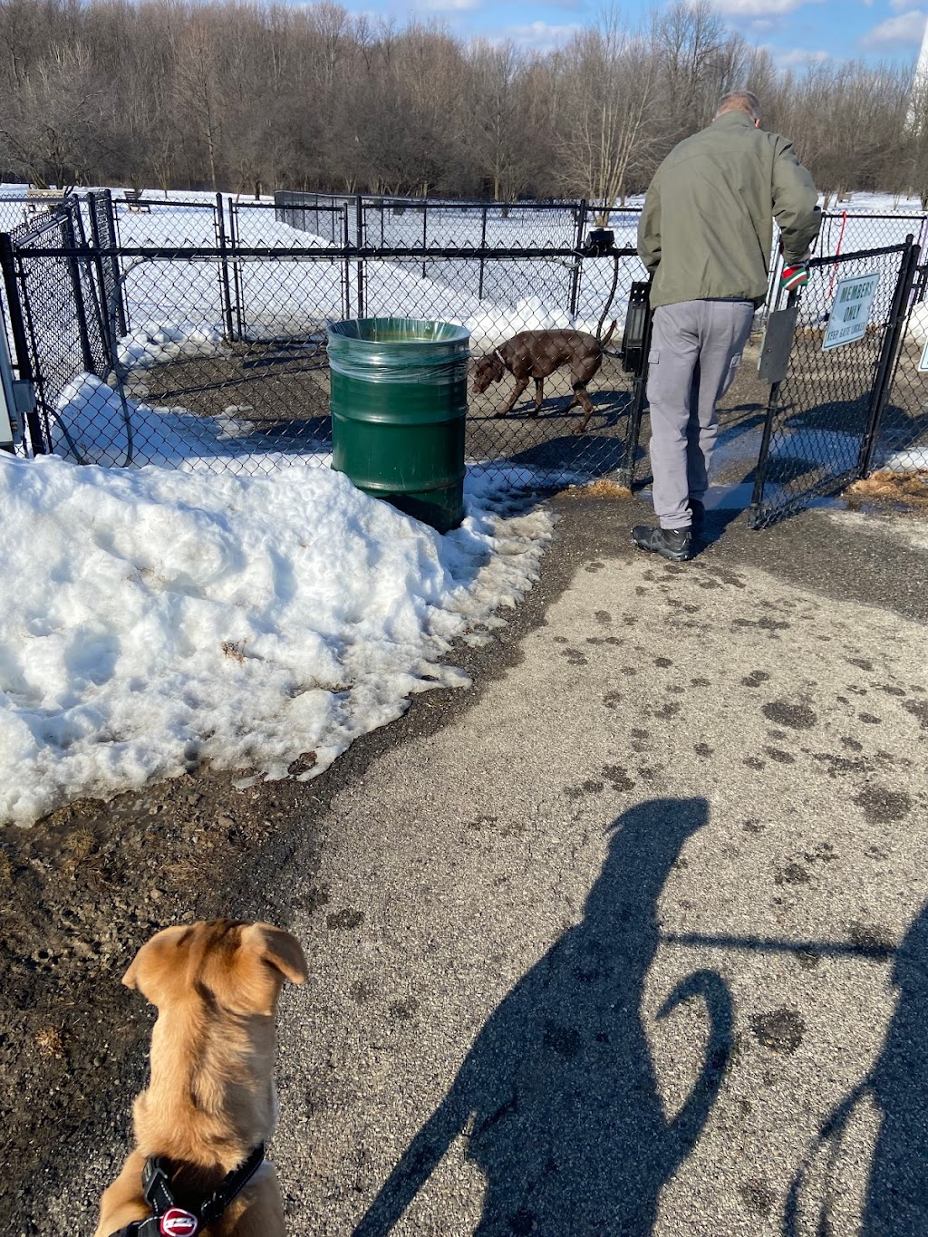 Northville Dog Park | 15801 Beck Rd, Northville, MI 48167, USA | Phone: (248) 349-0203