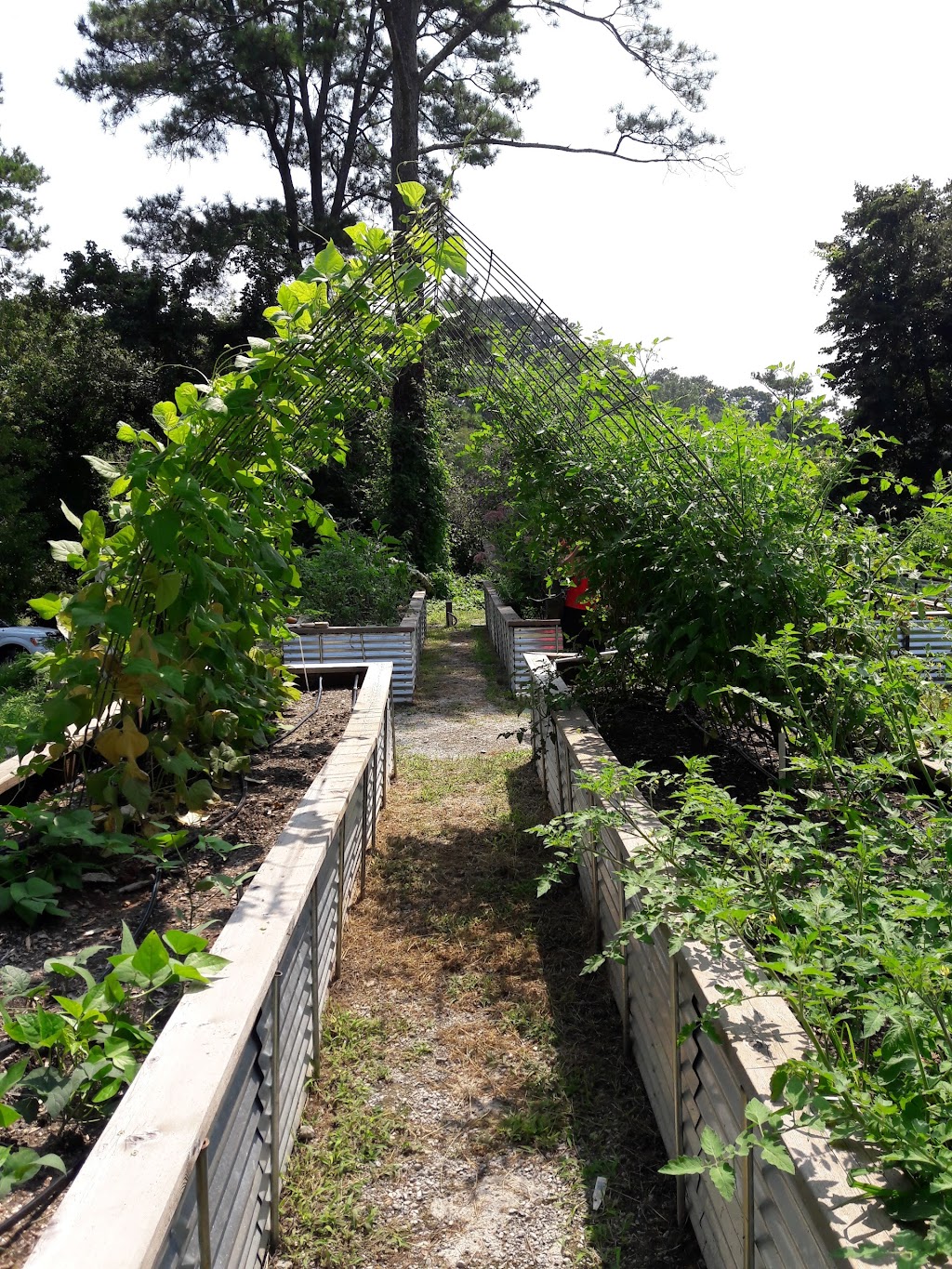 Chastain Park Conservancy | 4001 Powers Ferry Rd NW, Atlanta, GA 30342, USA | Phone: (404) 237-2177