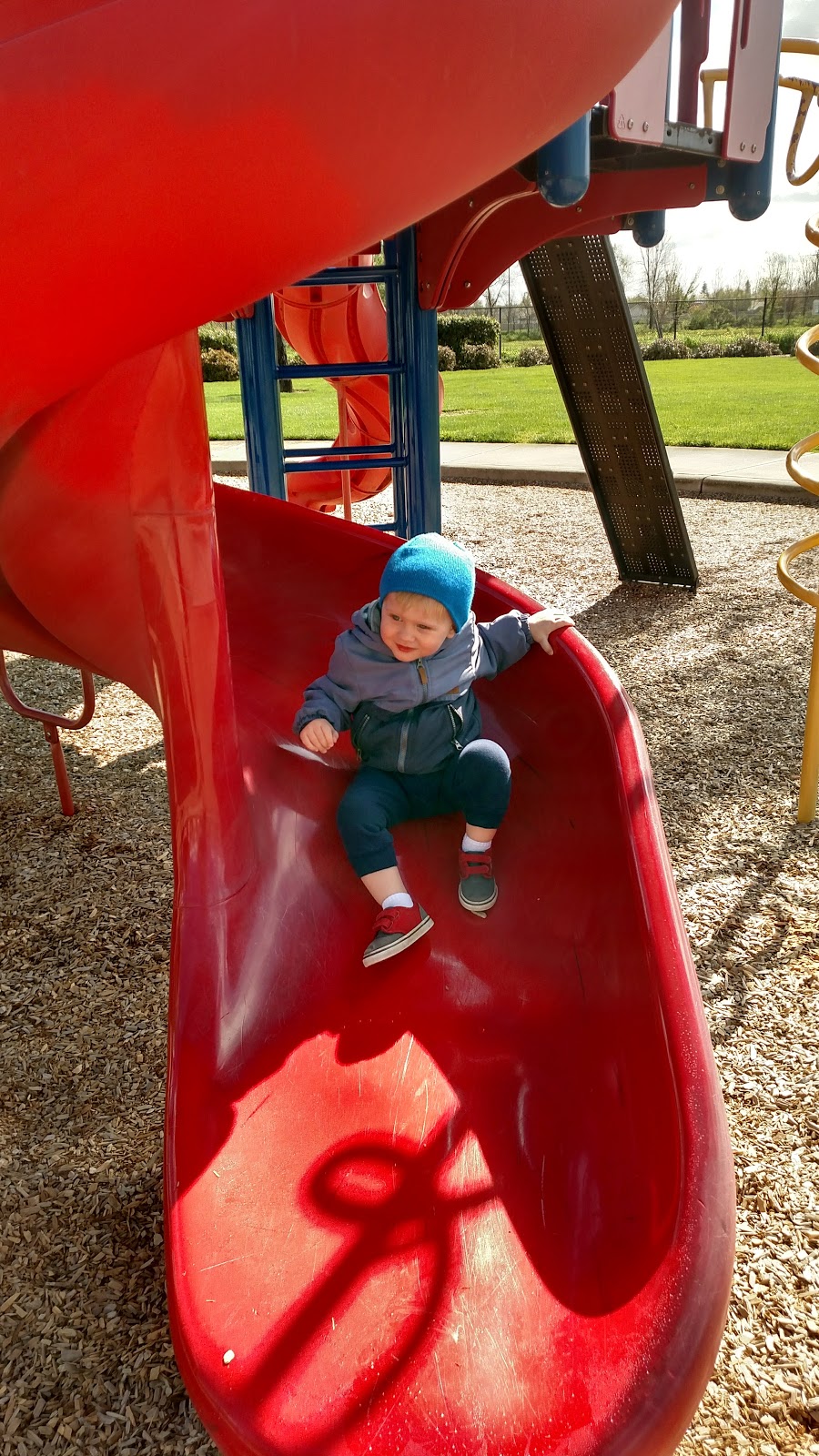 Jones Family Park | 8840 Shasta Lily Dr, Elk Grove, CA 95624, USA | Phone: (916) 405-5300