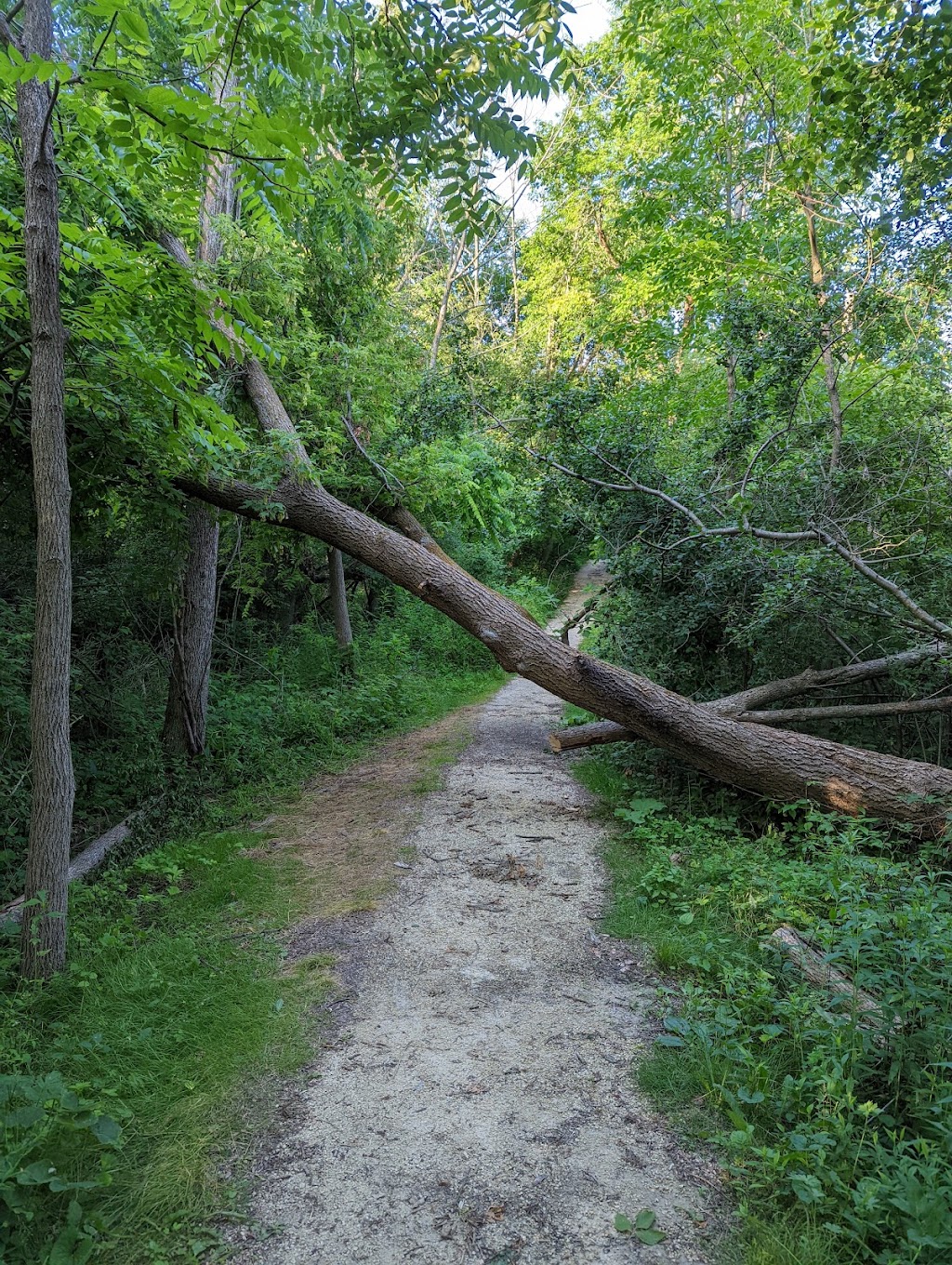 Sauk Creek Nature Preserve | 3236 Co Rd KK, Port Washington, WI 53070, USA | Phone: (262) 338-1794