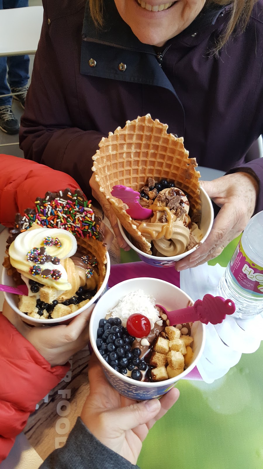 Menchies Frozen Yogurt | 47 Livingston Avenue, Dobbs Ferry, NY 10522, USA | Phone: (914) 693-1236