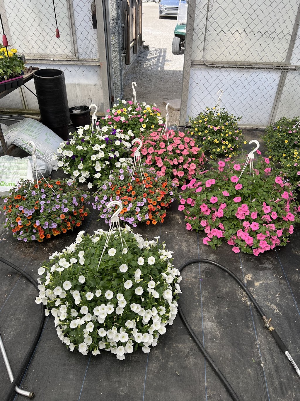 Rush Garden Center Greenhouse | 30617 Henry Ruff Rd #2025, Romulus, MI 48174, USA | Phone: (734) 721-7874