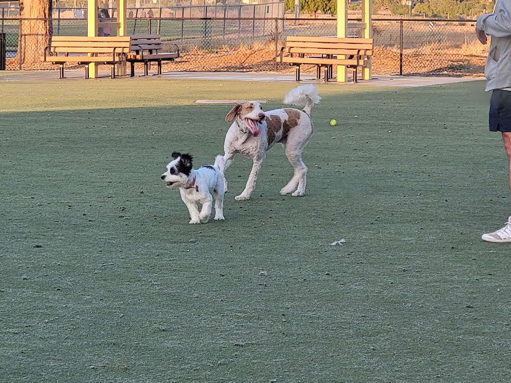 Central Park Dog Park | 1740 Stevenson Blvd, Fremont, CA 94538, USA | Phone: (510) 790-5541