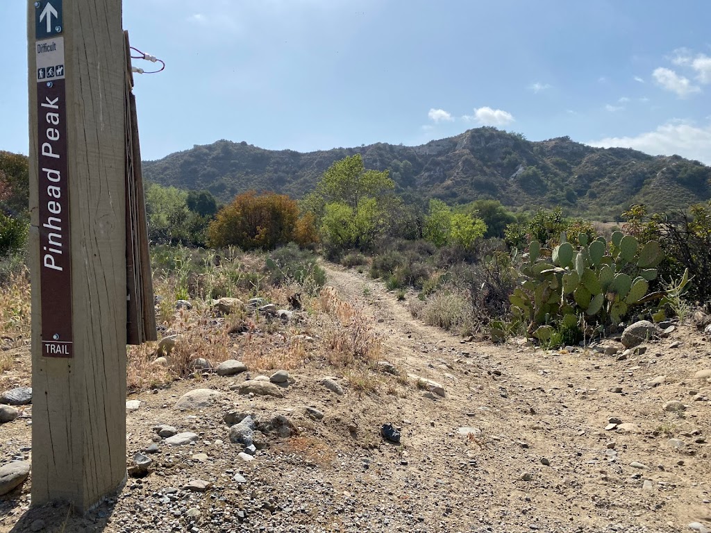 Starr Mesa Equestrian Campground at Caspers Wilderness Park | 33401 Ortega Hwy., San Juan Capistrano, CA 92675, USA | Phone: (949) 923-2210