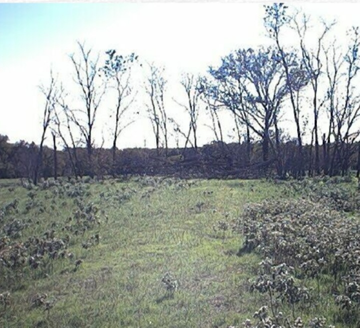 The Seldom Seen Cemetery | 3726 US-287, Alvord, TX 76225, USA | Phone: (817) 480-3128