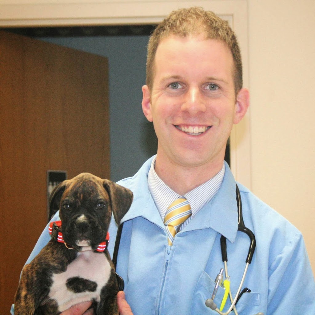 Cuyahoga Falls Veterinary Clinic: Gates Ryan G DVM | 3305 State Rd, Cuyahoga Falls, OH 44223, USA | Phone: (330) 929-3223