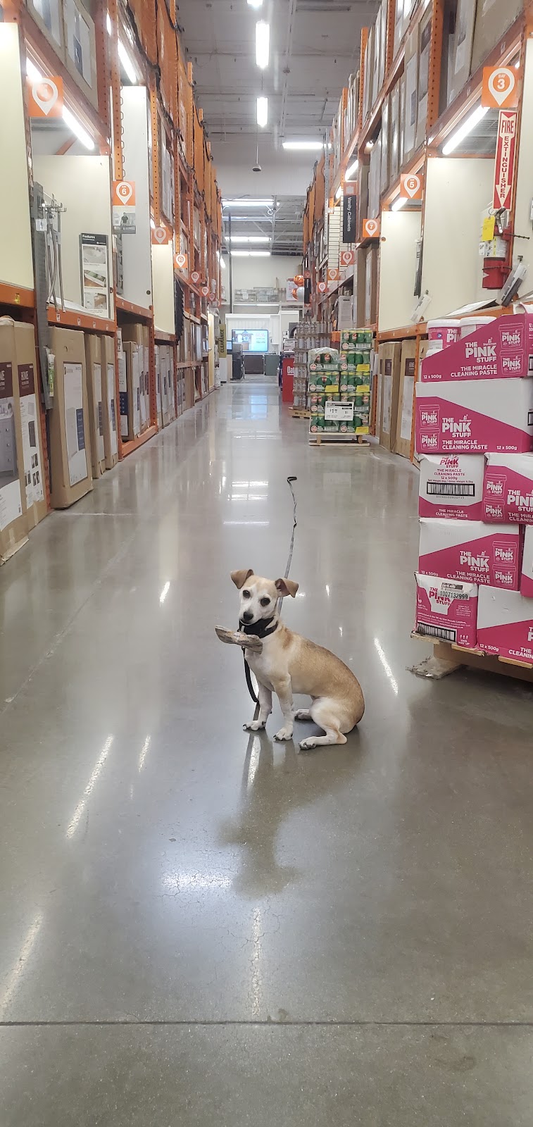 The Home Depot | 24332 El Toro Rd, Laguna Hills, CA 92637, USA | Phone: (949) 598-9171