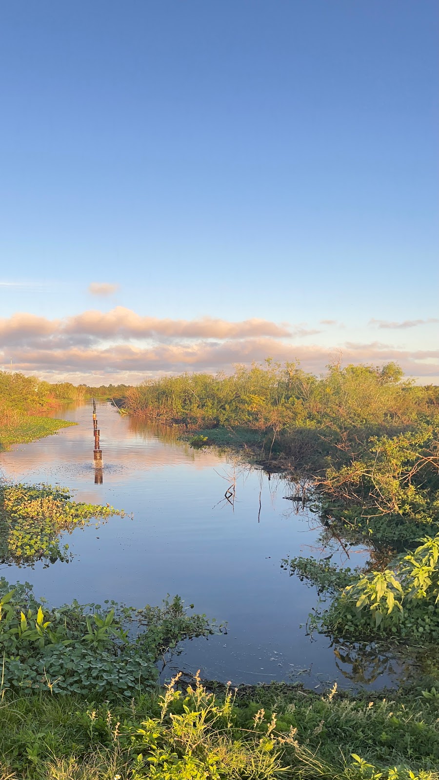 Blue Heron Wetlands | 4800 Deep Marsh Rd, Titusville, FL 32780, USA | Phone: (321) 455-5145