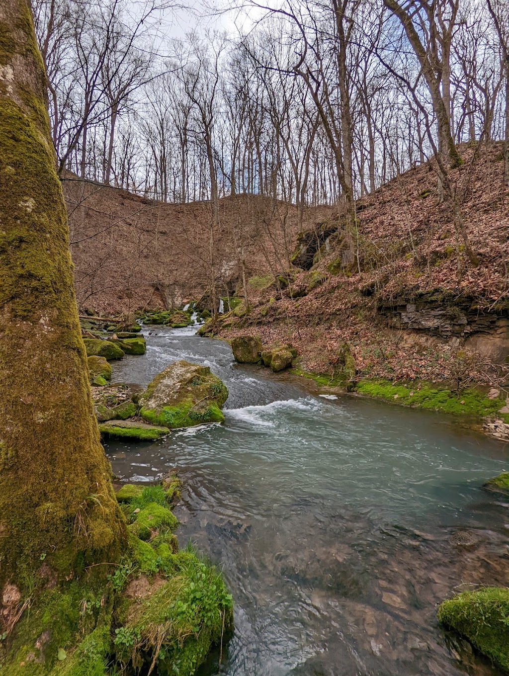 Cave River Valley Natural Area | 6031-6871 N Cave River Valley Rd, Campbellsburg, IN 47108, USA | Phone: (812) 849-3534