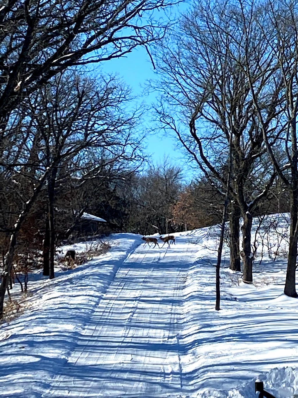 Platte River State Park Spray Park | Louisville, NE 68037, USA | Phone: (402) 234-2217