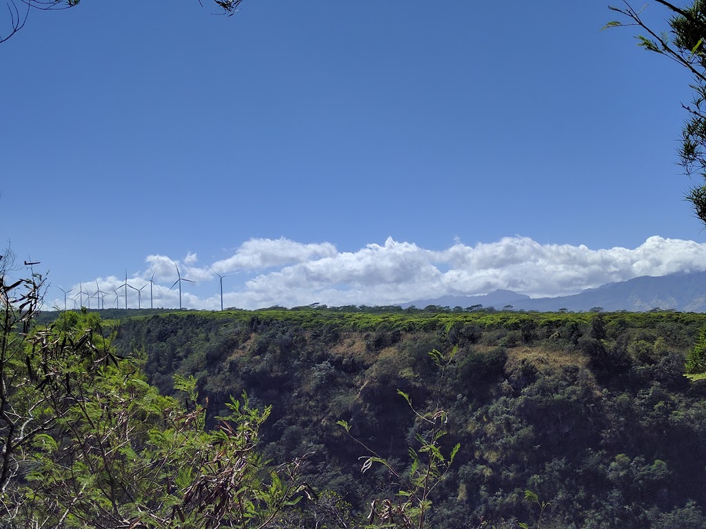 Puu O Mahuka Heiau State Historic Site | 59-818 Kamehameha Hwy #96712, Haleiwa, HI 96712, USA | Phone: (808) 587-0300