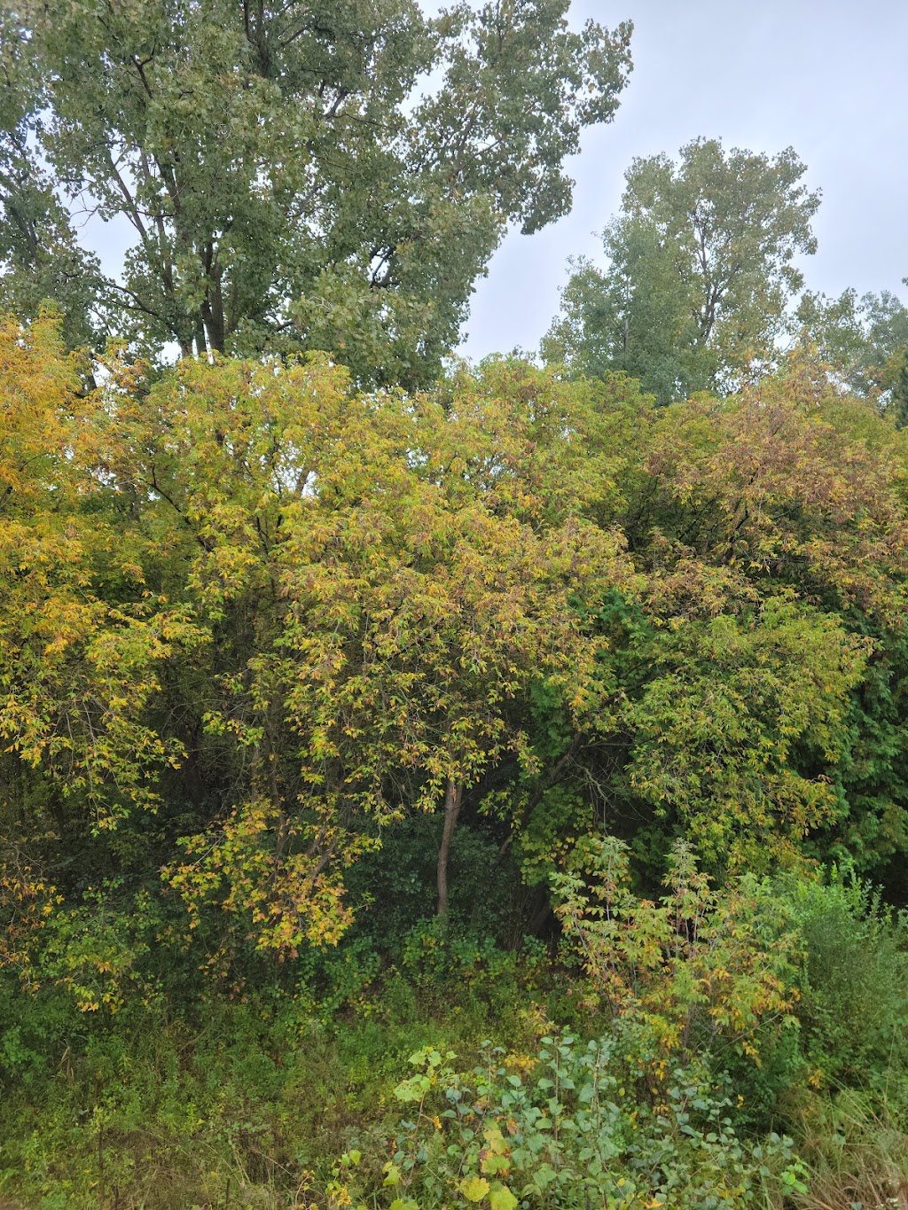 Waterford Oaks County Park | 1702 Scott Lake Rd, Waterford Twp, MI 48328, USA | Phone: (248) 858-0916