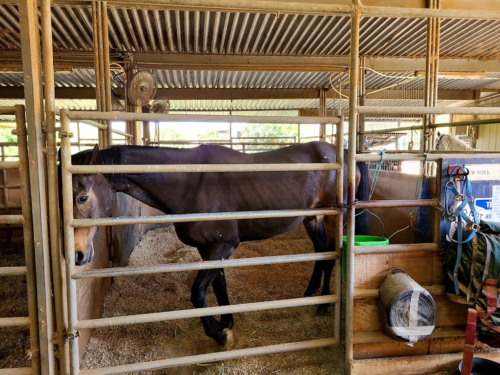 Traditional Equitation School | 480 W Riverside Dr, Burbank, CA 91506, USA | Phone: (818) 569-3666