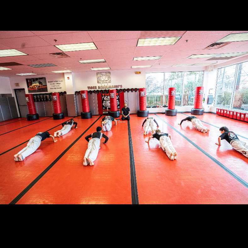 Tiger Schulmanns Martial Arts (Eatontown, NJ) | 246 NJ-35, Eatontown, NJ 07724, USA | Phone: (732) 201-2449