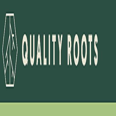 Quality Roots Cannabis Dispensary - Detroit | 2024 Caniff St, Hamtramck, MI 48212, United States | Phone: (313) 263-0360