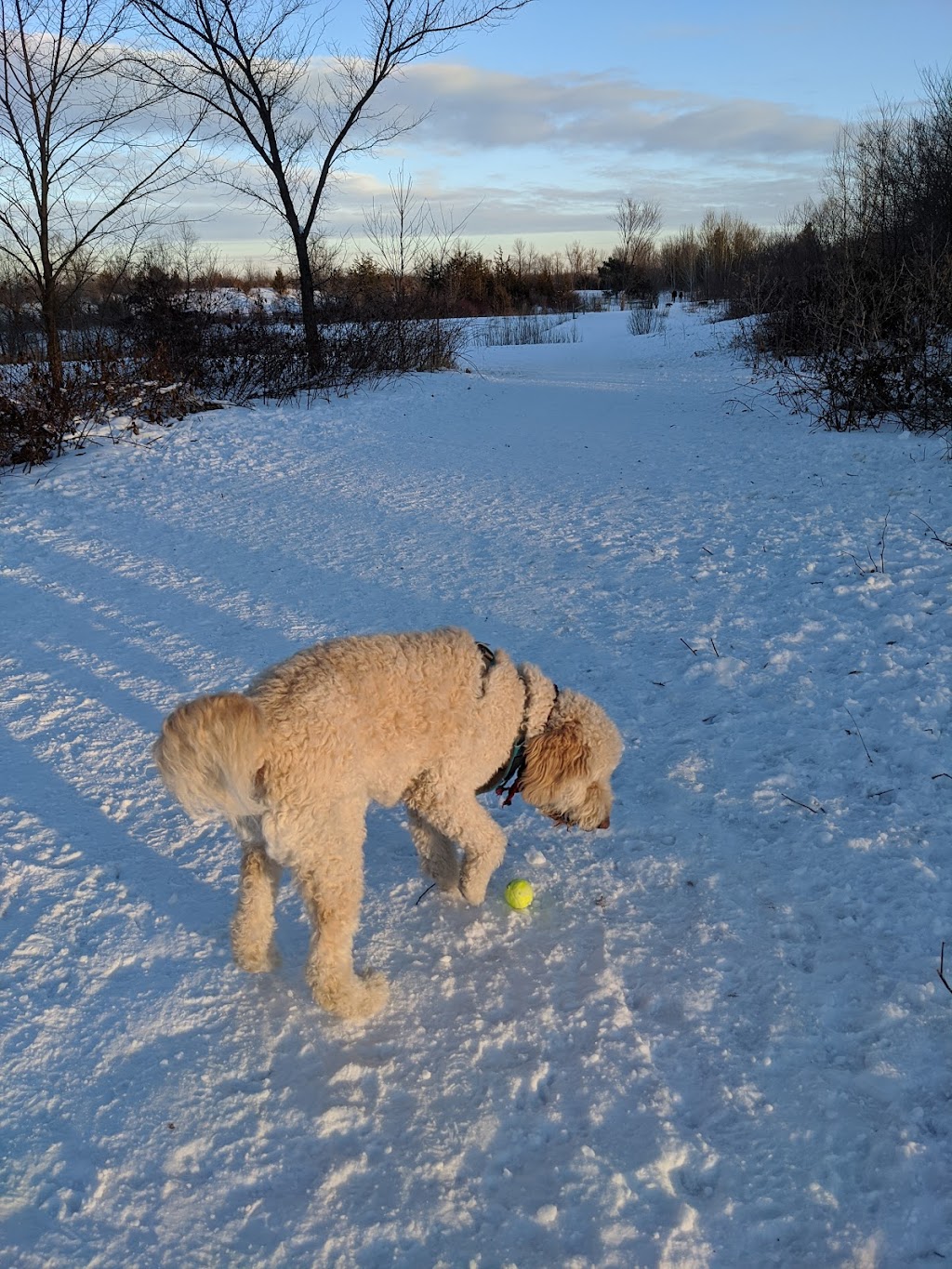 Elm Creek Park Reserve - Dog Off-leash Area | 11750 Zachary Ln N, Champlin, MN 55316, USA | Phone: (763) 694-7894