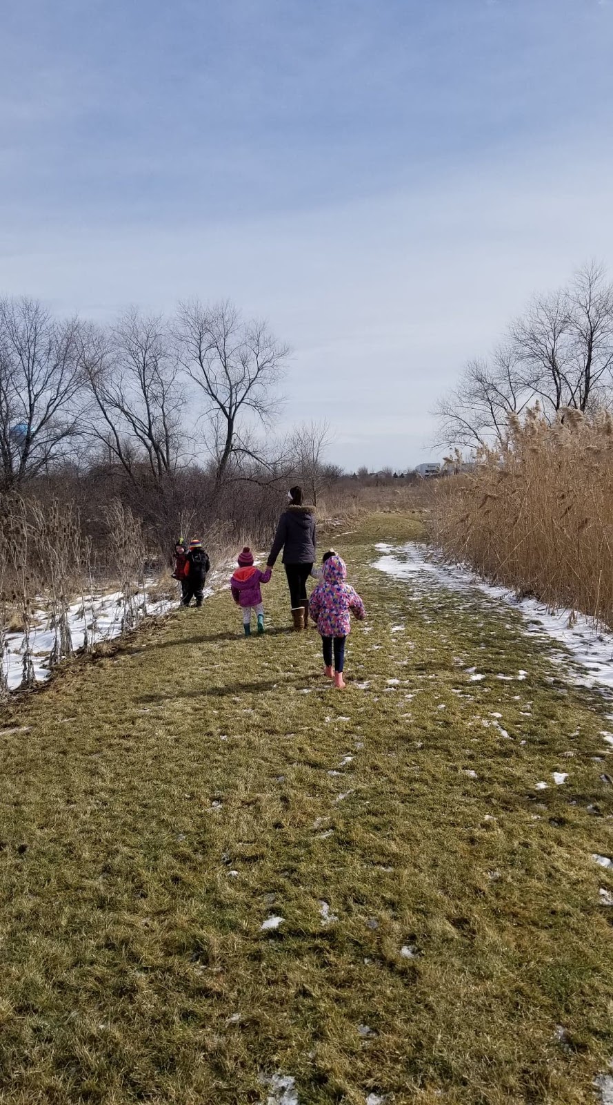 Natural Discovery Forest School | 6370 W, 6370 Emerald Pkwy Ste 102, Monee, IL 60449, USA | Phone: (708) 746-0433