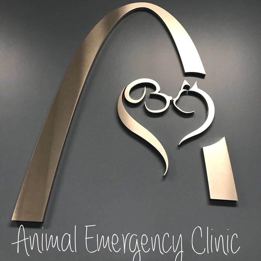 Animal Emergency Clinic | 9937 Big Bend Rd, Crestwood, MO 63122 | Phone: (314) 822-7600