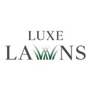 Luxe Lawns | 19356 S Higley Rd, Gilbert, AZ 85297, United States | Phone: (602) 878-4229