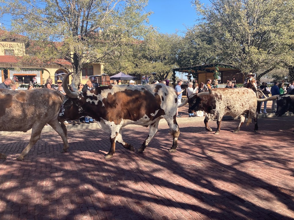 Texas Cowboy Hall of Fame | 2515 Rodeo Plaza, Fort Worth, TX 76164, USA | Phone: (817) 626-7131