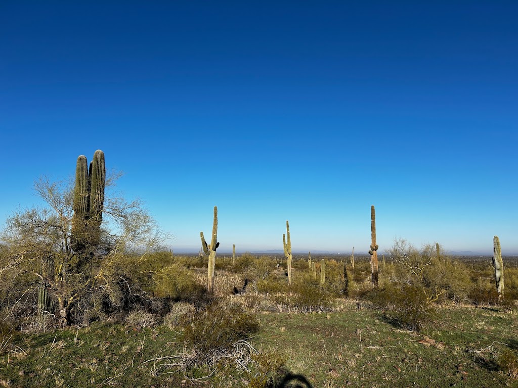 Sunset Vista Trail Head | Sunset Vista Trail, Picacho, AZ 85141, USA | Phone: (877) 697-2757