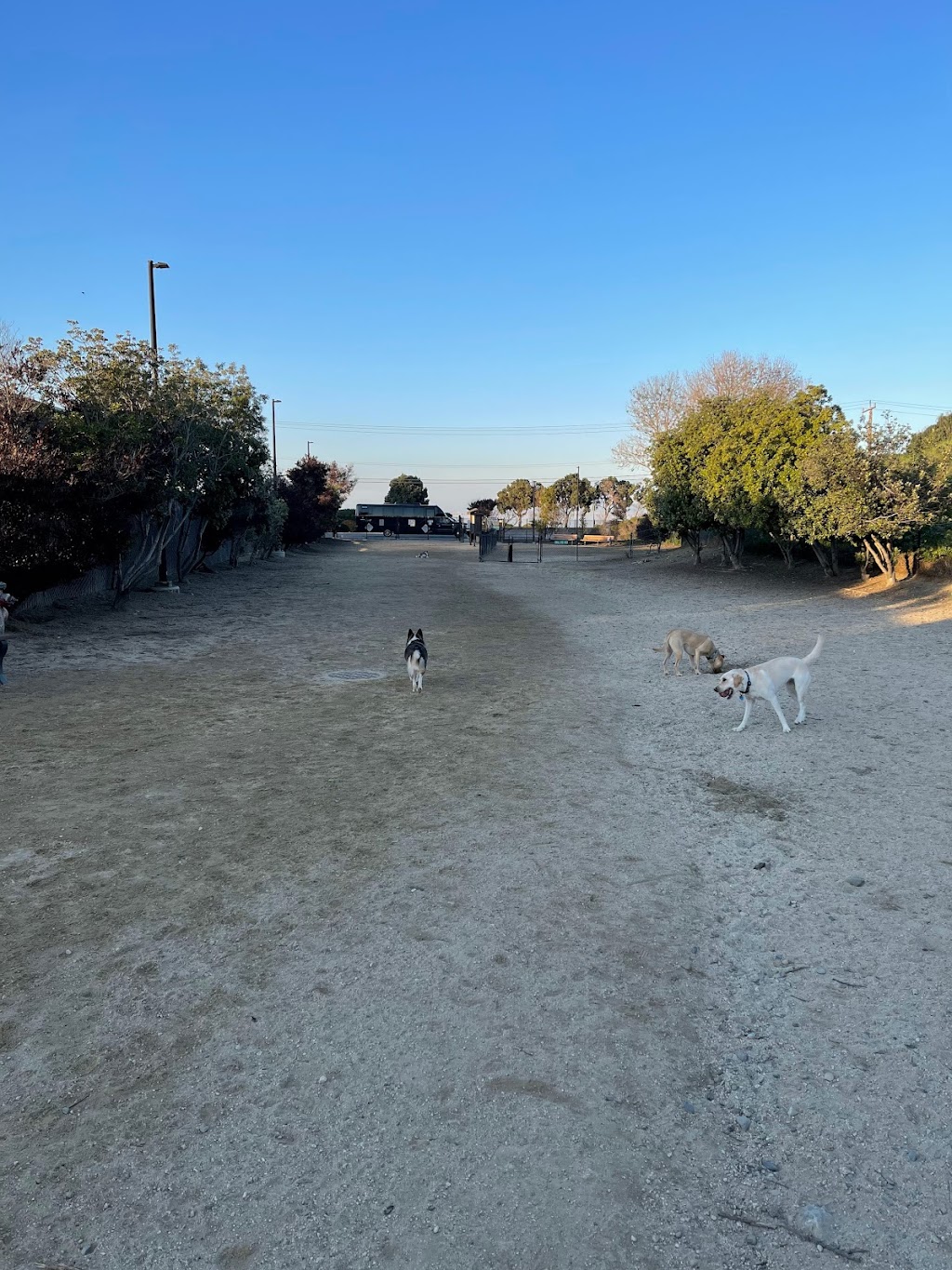 Burlingame Dog Exercise Park | 1125 Airport Blvd., Burlingame, CA 94010 | Phone: (650) 558-7300