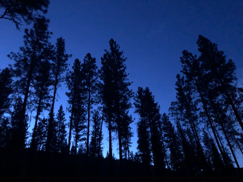 Pine Flats Campground | Banks Lowman Rd, Garden Valley, ID 83622, USA | Phone: (208) 259-3361