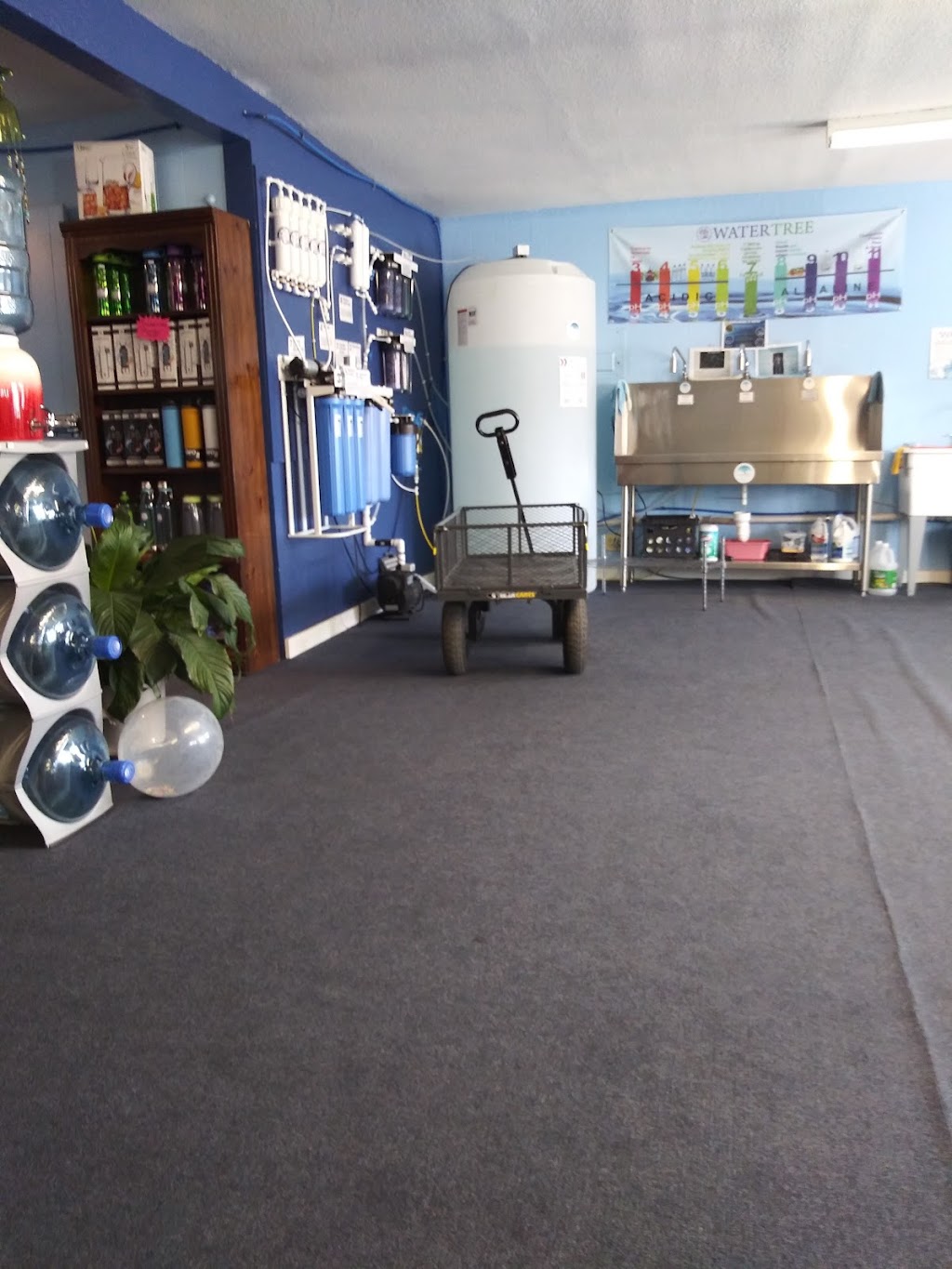 Alkaline Water Tree of Lockhart | 402 E Market St, Lockhart, TX 78644, USA | Phone: (512) 398-1923