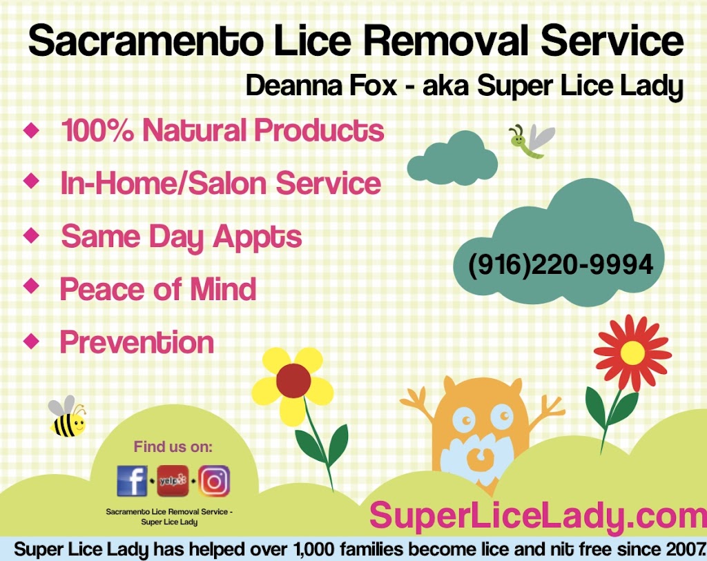 Sacramento Lice Removal Service | Super Lice Lady | 6913 Ellsworth Cir, Fair Oaks, CA 95628, USA | Phone: (916) 220-9994