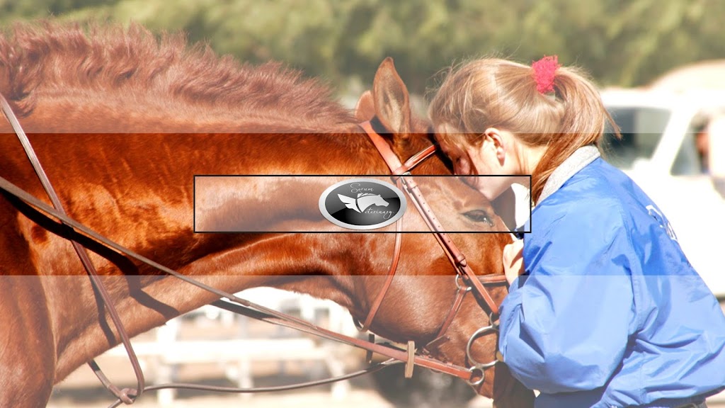 Sorum Veterinary Services | 28150 N Alma School Pkwy #103-282, Scottsdale, AZ 85262, USA | Phone: (480) 299-7526