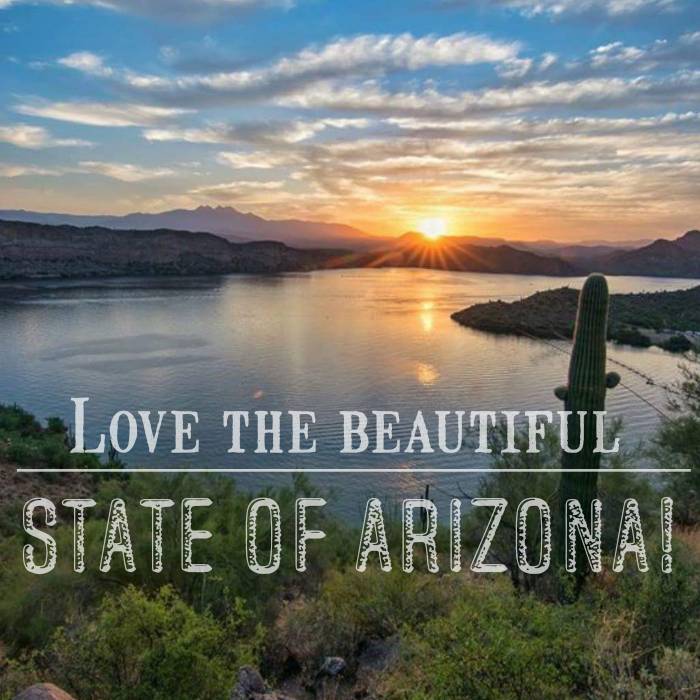 Home Again Arizona Real Estate & Property Management | Home Again Arizona Real Estate, 3395 E Clark Dr, Gilbert, AZ 85297, USA | Phone: (480) 630-5000