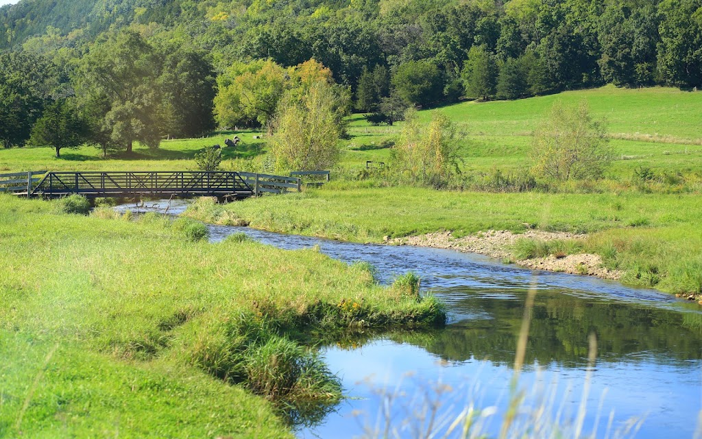 Lodi Spring Creek State Fishery Area | W10854 Spring Creek Rd, Lodi, WI 53555, USA | Phone: (608) 635-8122