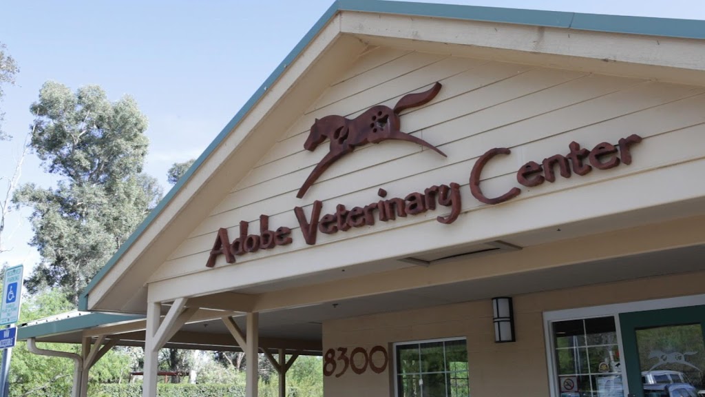 Adobe Veterinary Center | 8300 E Tanque Verde Rd, Tucson, AZ 85749, USA | Phone: (520) 546-8387