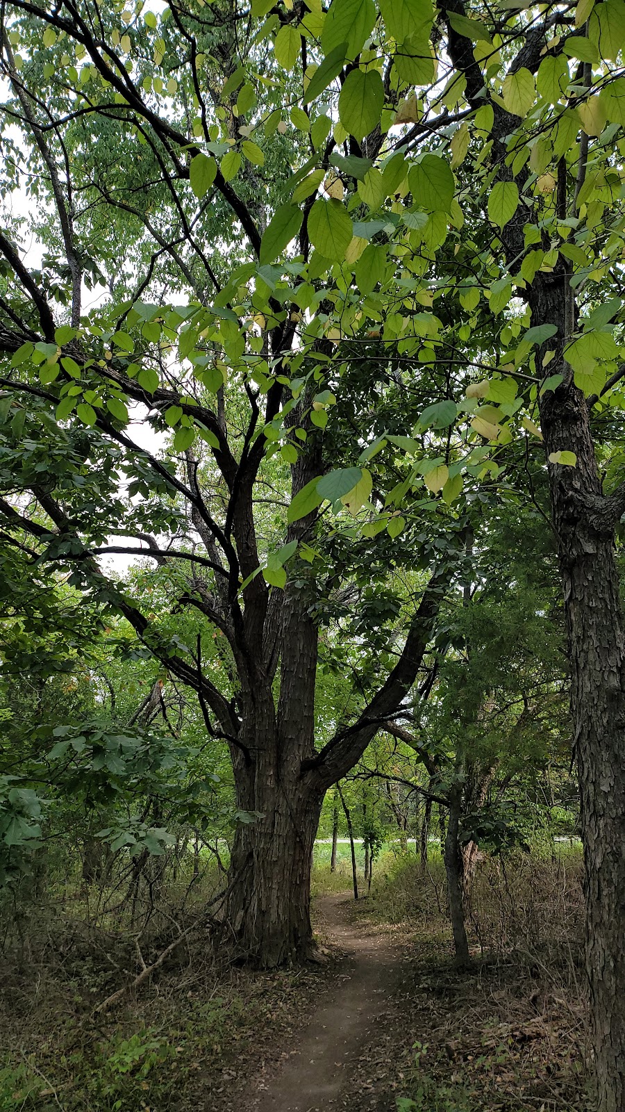 Cedar Niles Park Clare Road Trailhead | 12650 S Clare Rd, Olathe, KS 66061, USA | Phone: (913) 438-7275