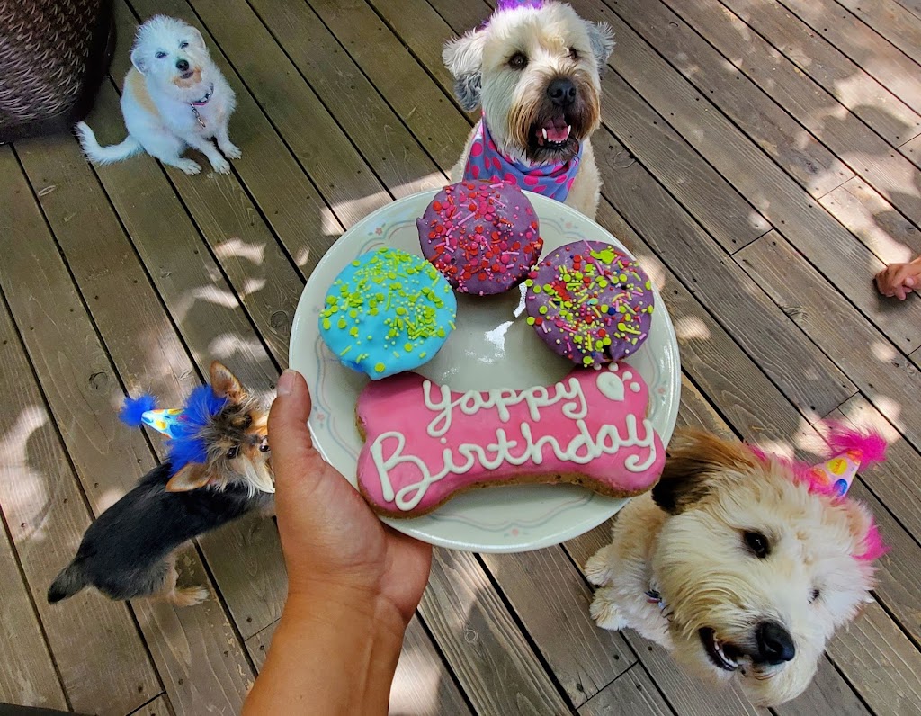 Cosmos Dog Bakery and Pet Supplies | 10111 W 26th Ave #101, Wheat Ridge, CO 80215, USA | Phone: (303) 232-1477