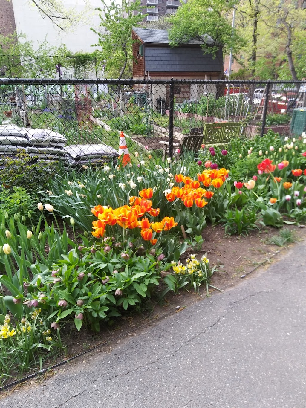 West Side Community Garden | 123 W 89th St, New York, NY 10024, USA | Phone: (212) 316-5490