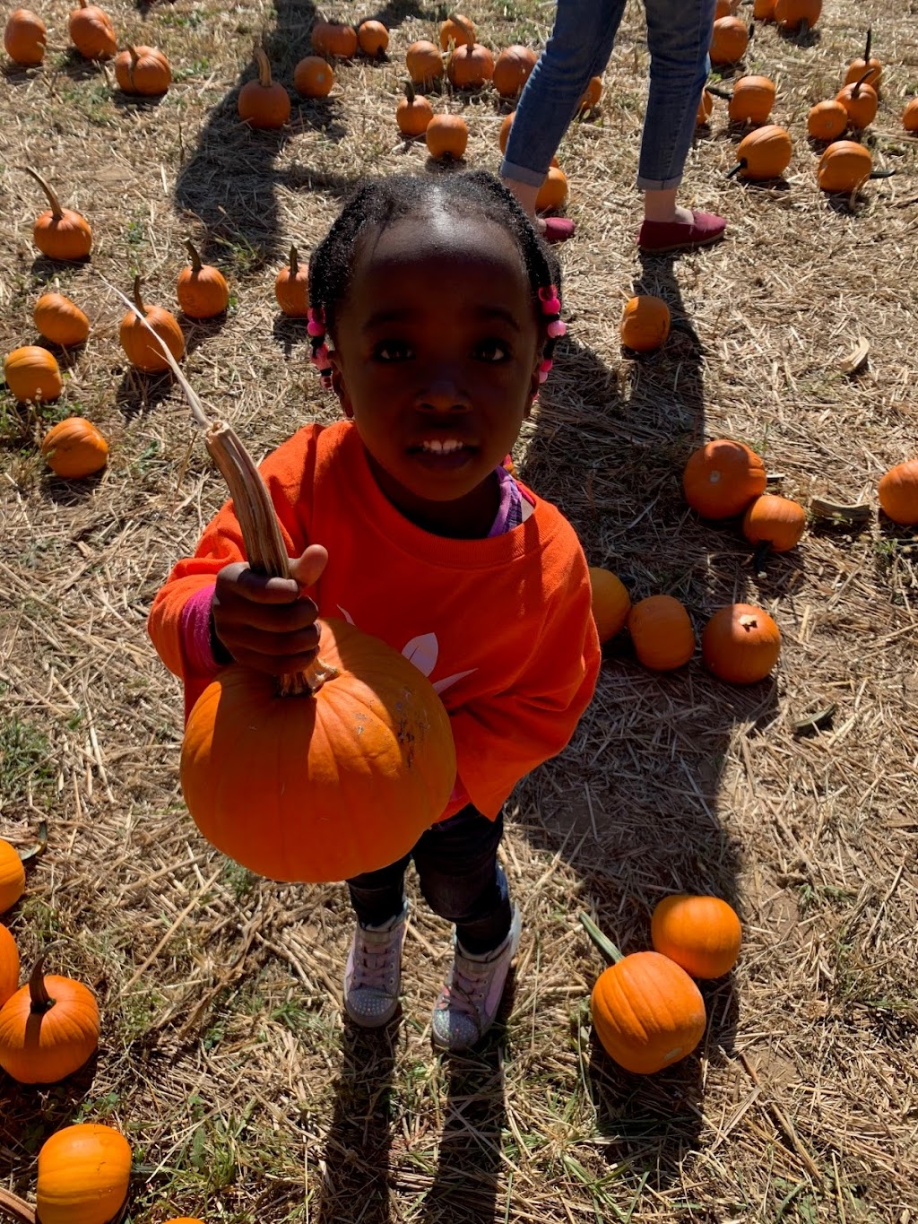 Watch Me Sprout Childcare Center | 16819 New Hampshire Ave, Silver Spring, MD 20905, USA | Phone: (301) 989-4673