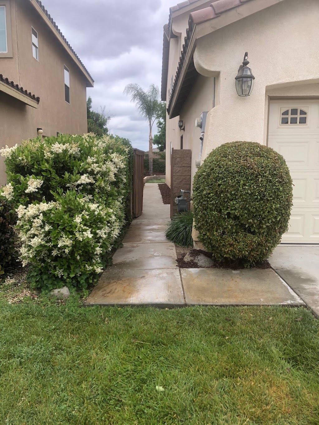 Felix landscaping & trees service maintenance | 870 Reeves Pl, Pomona, CA 91767, USA | Phone: (714) 866-1782
