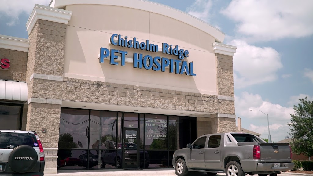 Chisholm Ridge Pet Hospital | 1100 N Blue Mound Rd #160, Saginaw, TX 76131 | Phone: (817) 234-9919