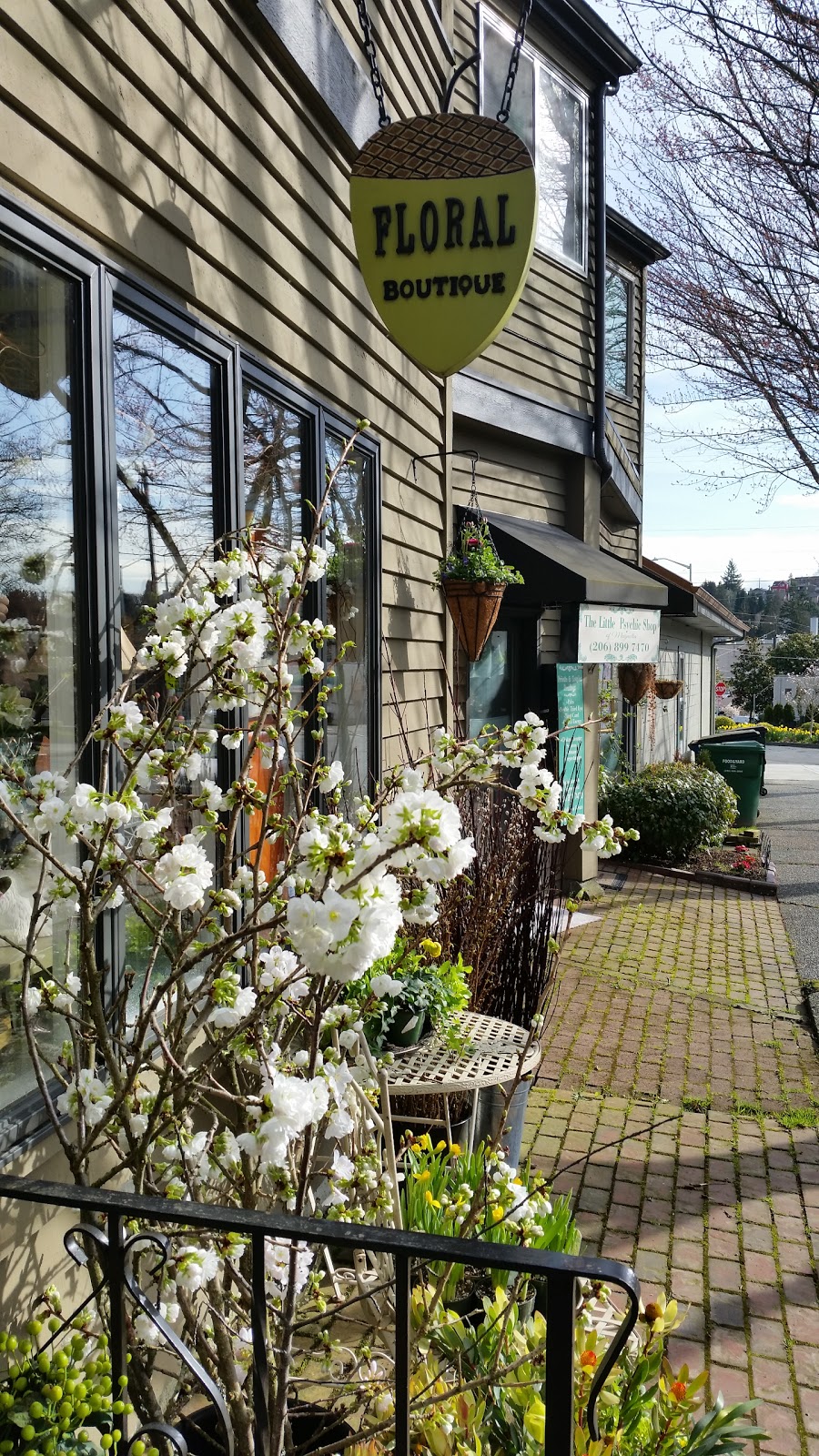 Acorn Floral | 2313 Viewmont Way W, Seattle, WA 98199, USA | Phone: (206) 852-5586