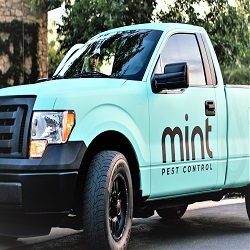 Mint Pest Control | 506 Production Ct, Louisville, KY 40299, United States | Phone: (502) 919-0004