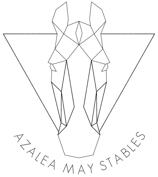 Azalea May Stables | 470 Mane Ranch Cir, Montevallo, AL 35115, USA | Phone: (205) 547-0640