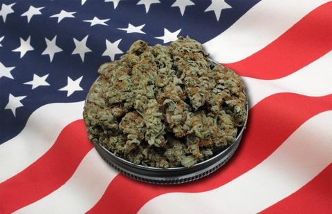 CBD Unlimited Cannabis Dispensary | 2604 S Portland Ave, Oklahoma City, OK 73108, USA | Phone: (405) 299-0223
