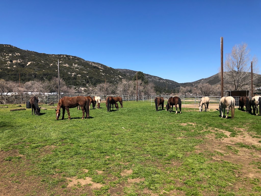 San Diego Horse Trail Riding | 404 Box, Pine Valley, CA 91962, USA | Phone: (619) 831-2793