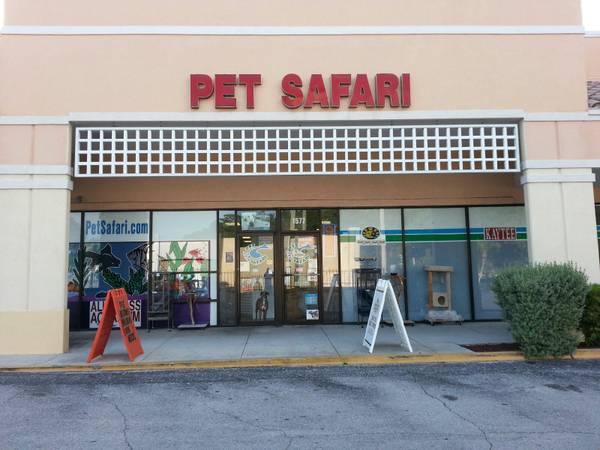 Pet Safari Grooming - If needed Curbside Drop off | LaBelle Plaza, 1581 S Highland Ave, Clearwater, FL 33756, USA | Phone: (727) 446-7047