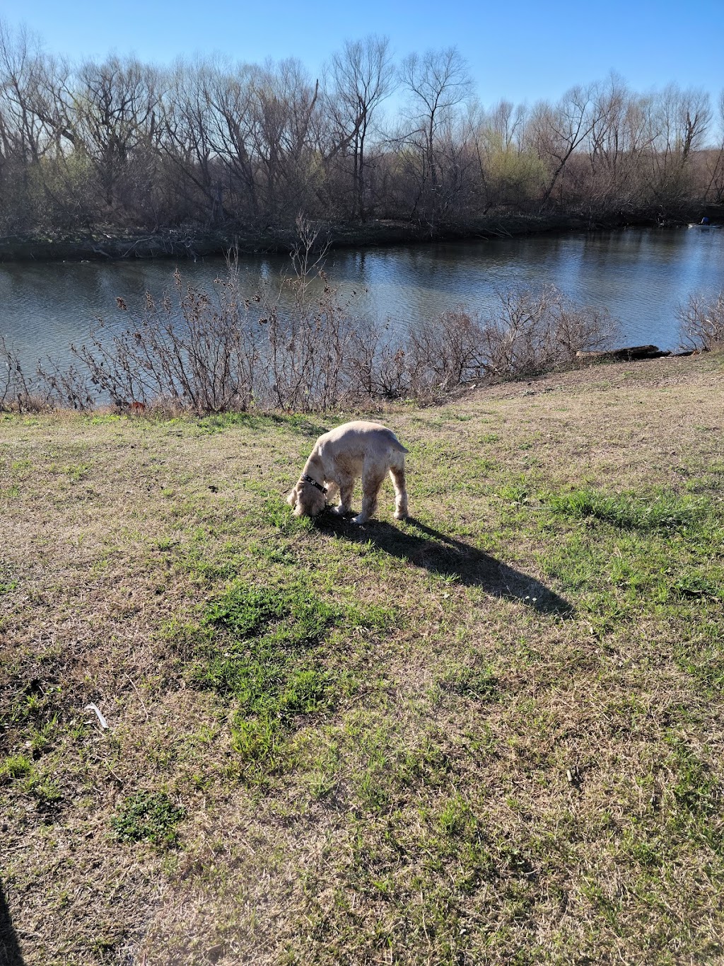 Trophy Club Park Sycamore Tree | Trophy Park Dr, Roanoke, TX 76262, USA | Phone: (817) 491-9616