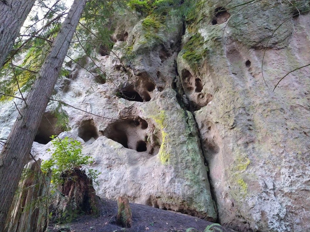 Tamanowas Rock Sanctuary | Chimacum, WA 98325, USA | Phone: (360) 683-1109