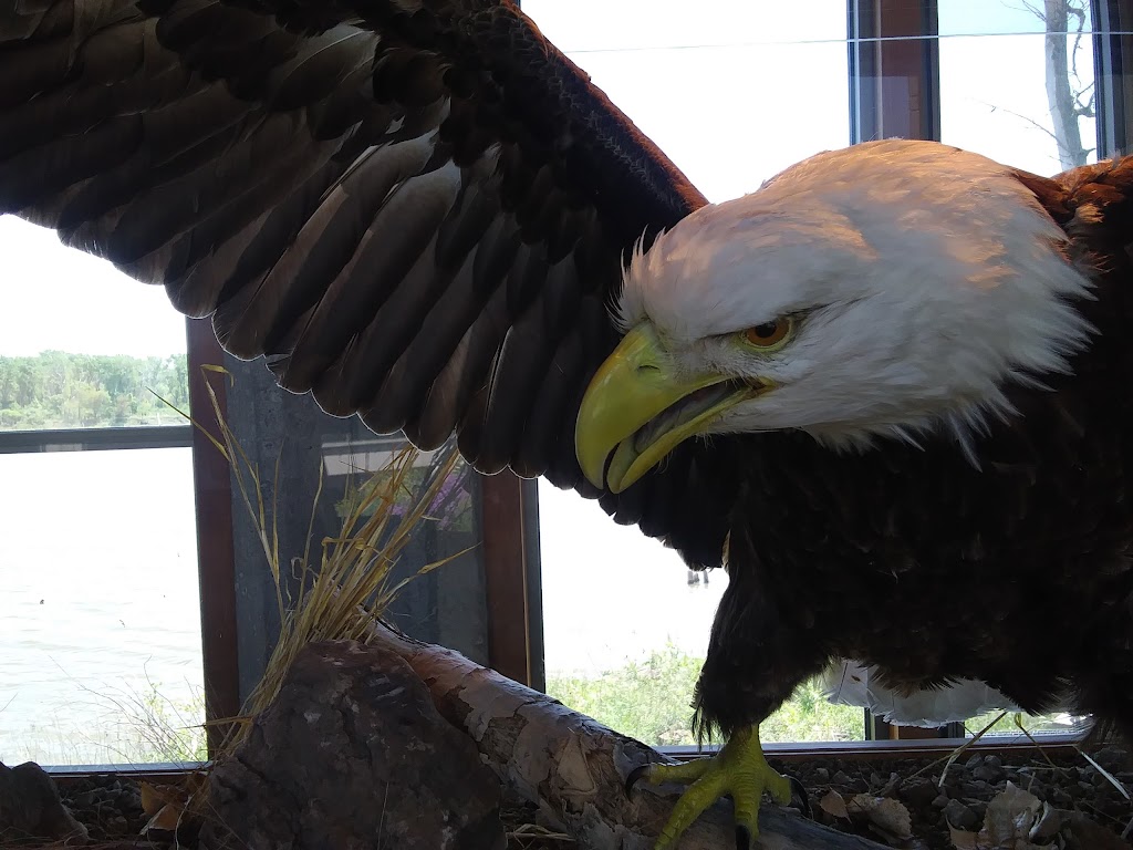 Desoto National Wildlife Refuge | 1434 316th Ln, Missouri Valley, IA 51555, USA | Phone: (712) 388-4800